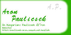 aron paulicsek business card